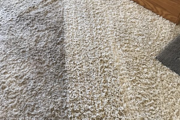 Recent Projects Heavy Duty Carpet Cleaning Murrieta, California