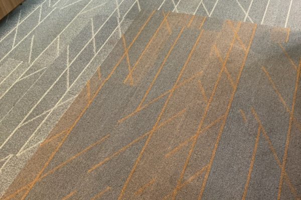 Recent Projects Hotel Carpet Cleaning in Temecula