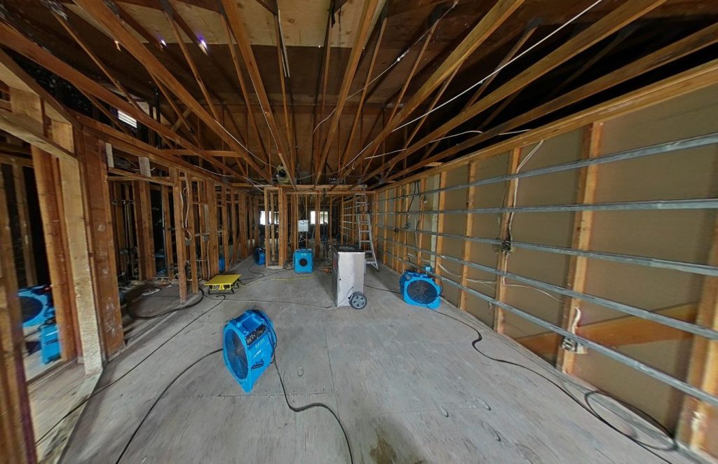 Before Photos