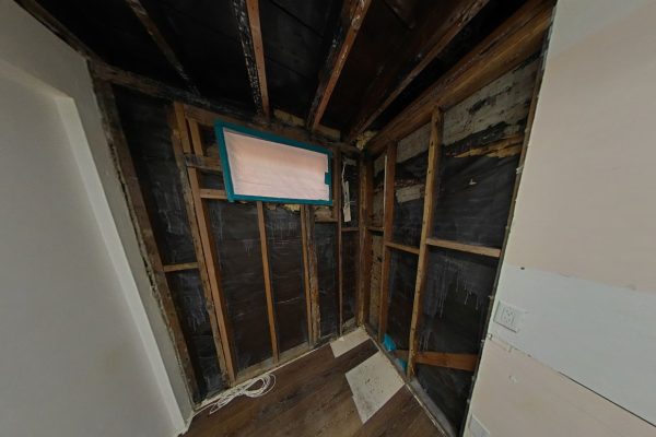 Mold Remediation In Encinitas , CA , 92024
