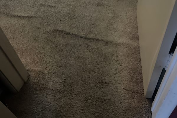 Carpet Cleaning and Stretching in West Hollywood, CA