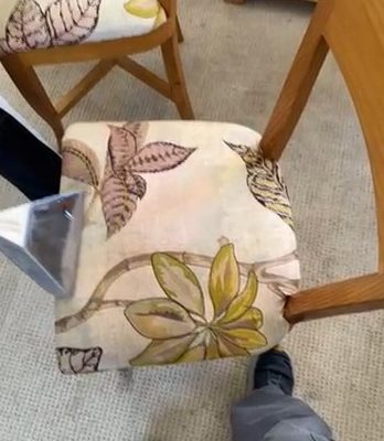 Upholstery Cleaning in Altadena , CA