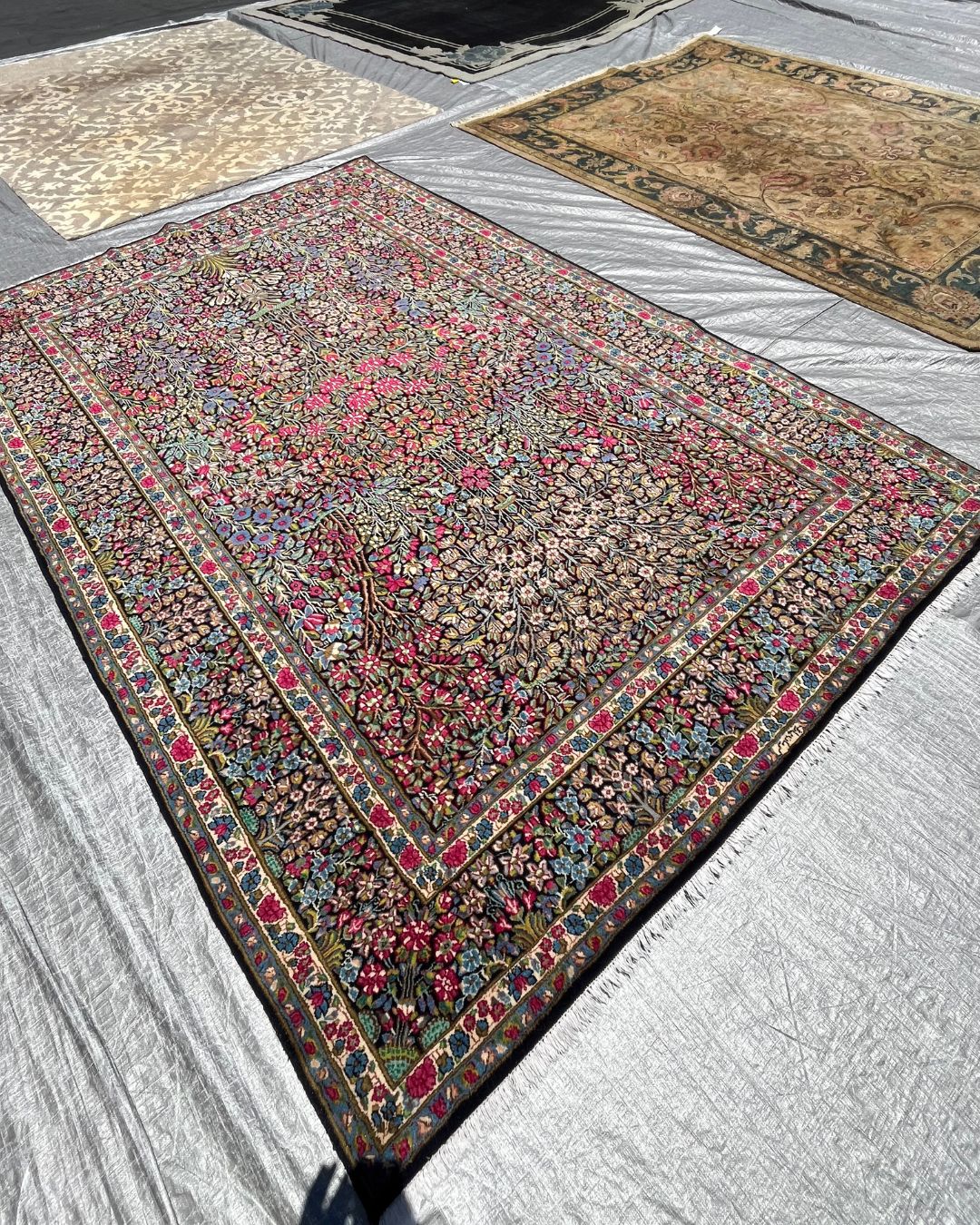 Professional Persian Wool Rug Cleaning in Encinitas, CA