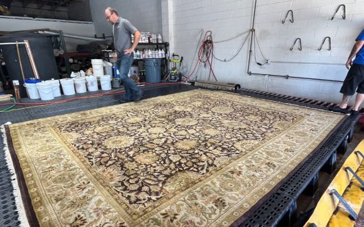 Coastal Rug Cleaning and Odor Removal in Point Loma, CA