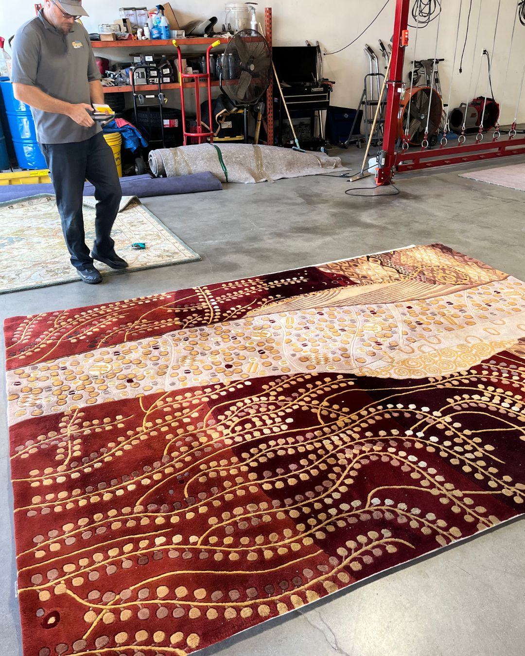 Redlands Hand-Tufted Wool Rug Cleaning for Pet Odor Removal
