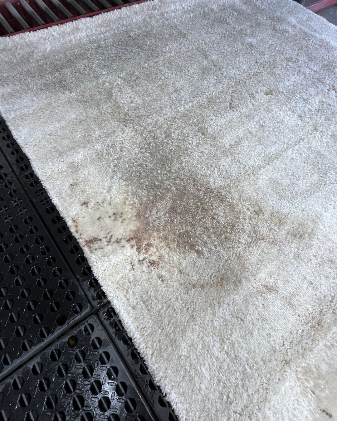 Shag Rug Cleaning & Stain Removal in Newport Beach, CA