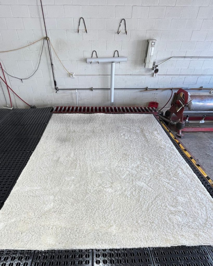 Shag Rug Cleaning Stain Removal