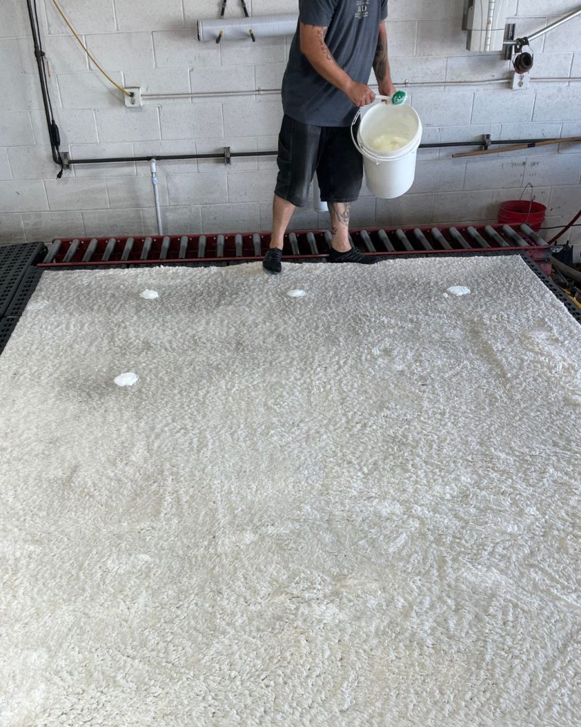 Shag Rug Cleaning Stain Removal