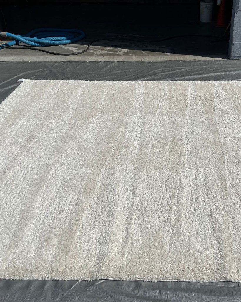 Shag Rug Cleaning Stain Removal