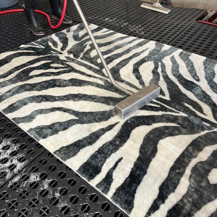 Zebra Print Rug Cleaning in Carlsbad, CA