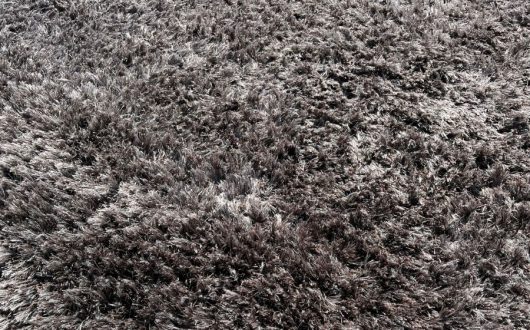 Shag Rug Deep Cleaning in Newport Beach, CA