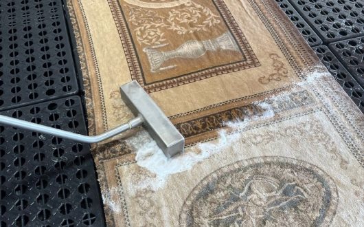 Tapestry Needlepoint Rug Cleaning in Ontario, CA