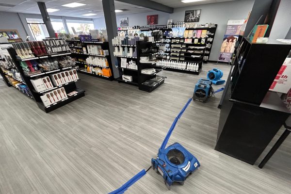 Water Damage in Torrance , CA