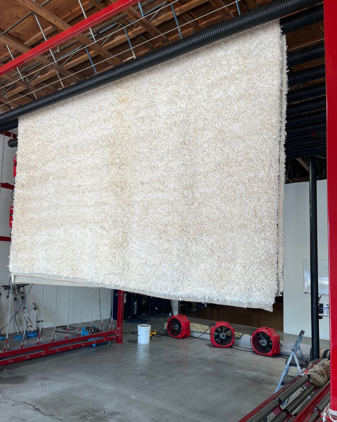 Steam Cleaning vs. Professional Rug Washing: What's the Difference?