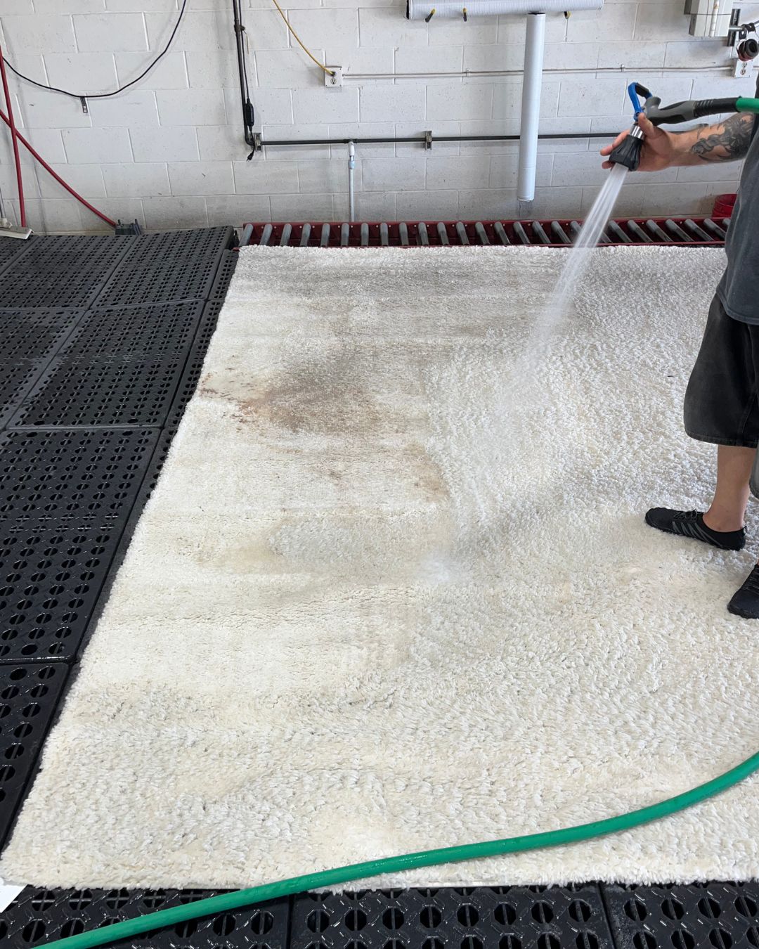 What is the best way to remove odors from a shag rug?