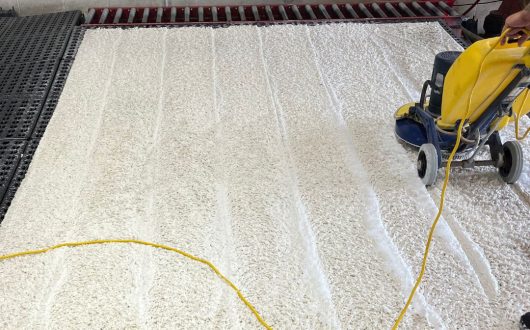 Pet Urine Odor Removal from Area Rugs in Rancho Mirage, CA