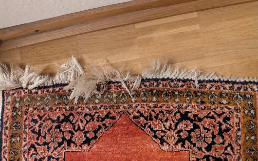 Fringe Damage Rug Cleaning Morongo, CA