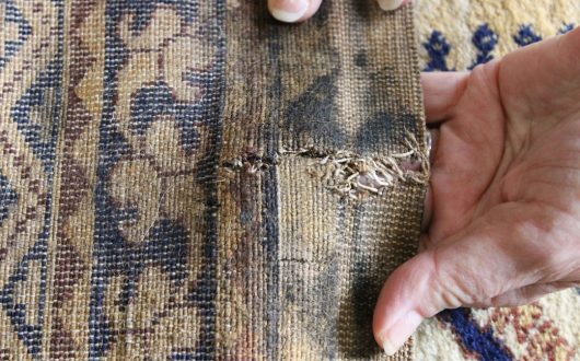 What Causes Dry Rot in Rugs?