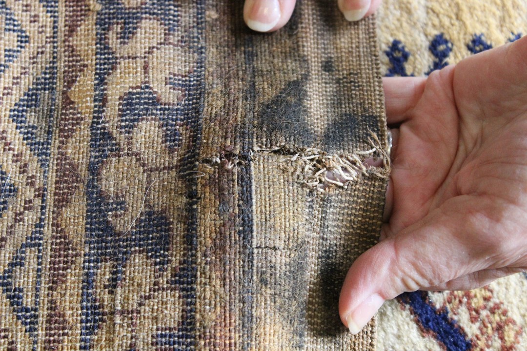 What Causes Dry Rot in Rugs?