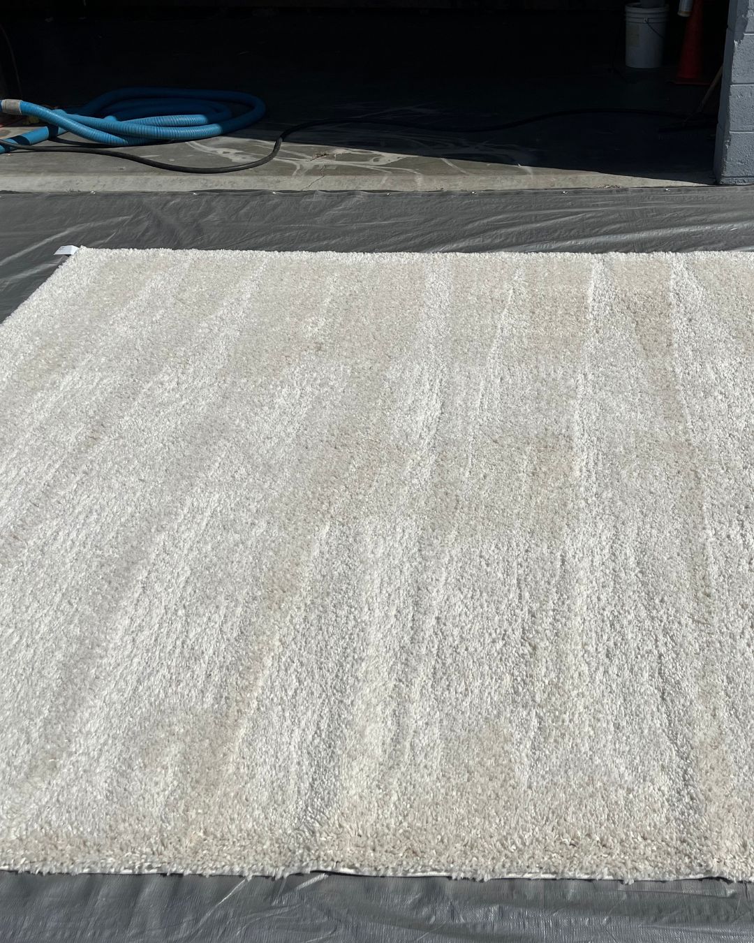 Oversized Rug Cleaning Project in Palm Desert