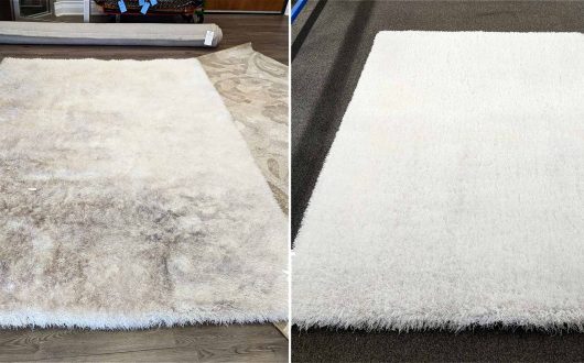 Rug Pet Odor Removal Project in La Quinta
