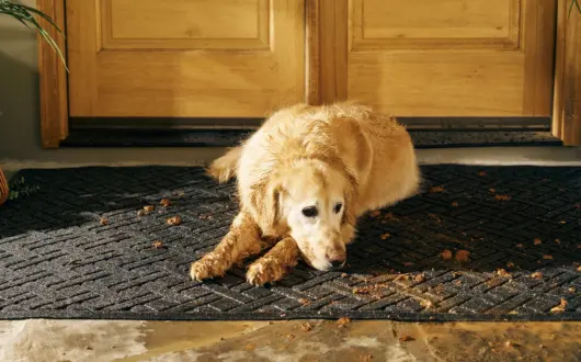 What is the best way to clean heavily soiled mats?
