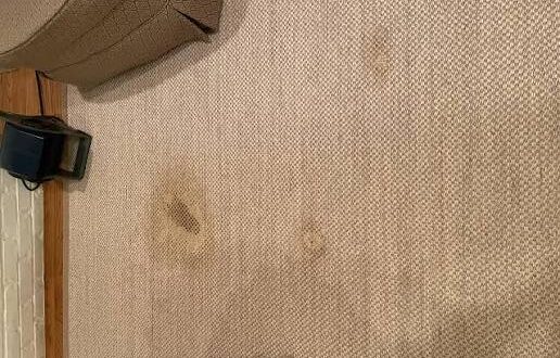 Jute and Sisal Rug Cleaning Palm Springs