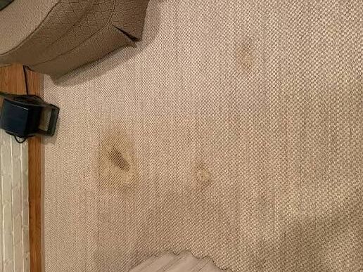 Jute and Sisal Rug Cleaning Palm Springs
